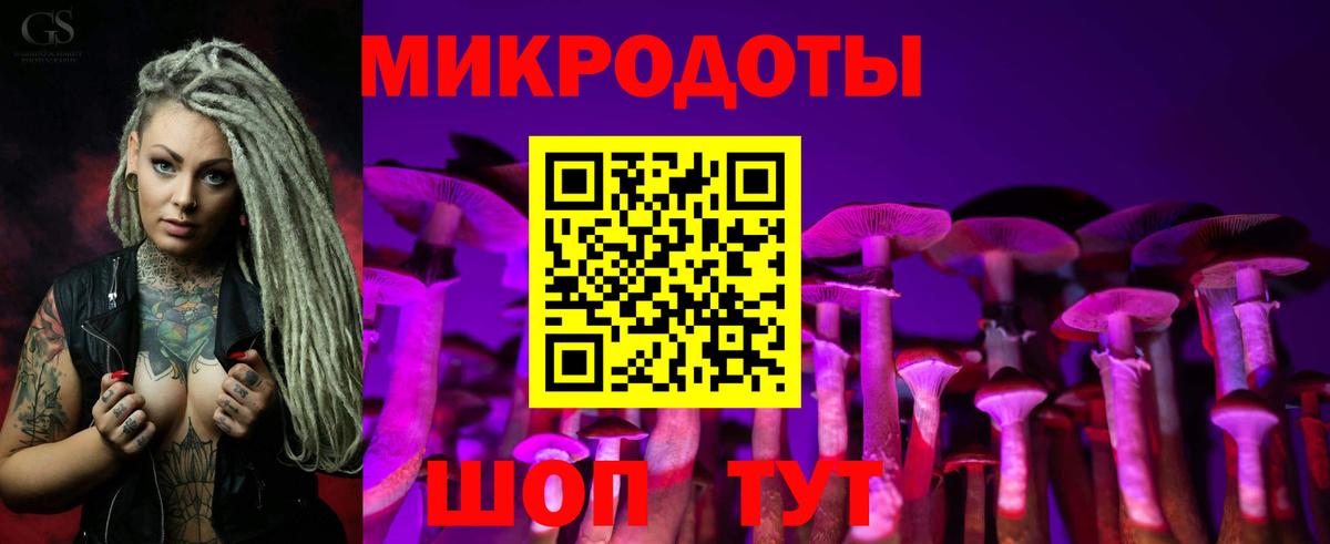Новотроицк  Псилоцибиновые грибы Psilocybe  Вход с VPN 